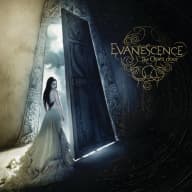 Pochette de The Open Door