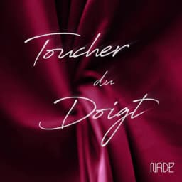 Pochette de Toucher du doigt