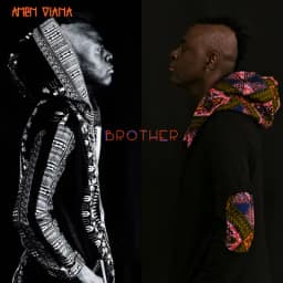 Pochette de Brother