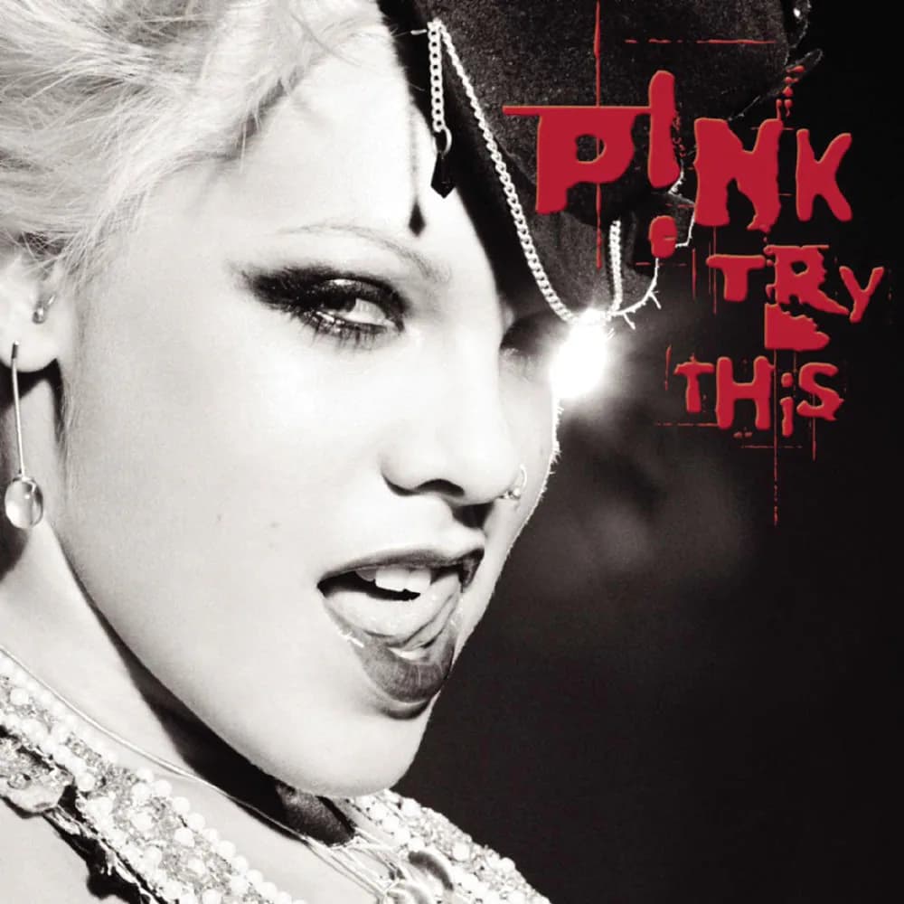 Pochette de Try This
