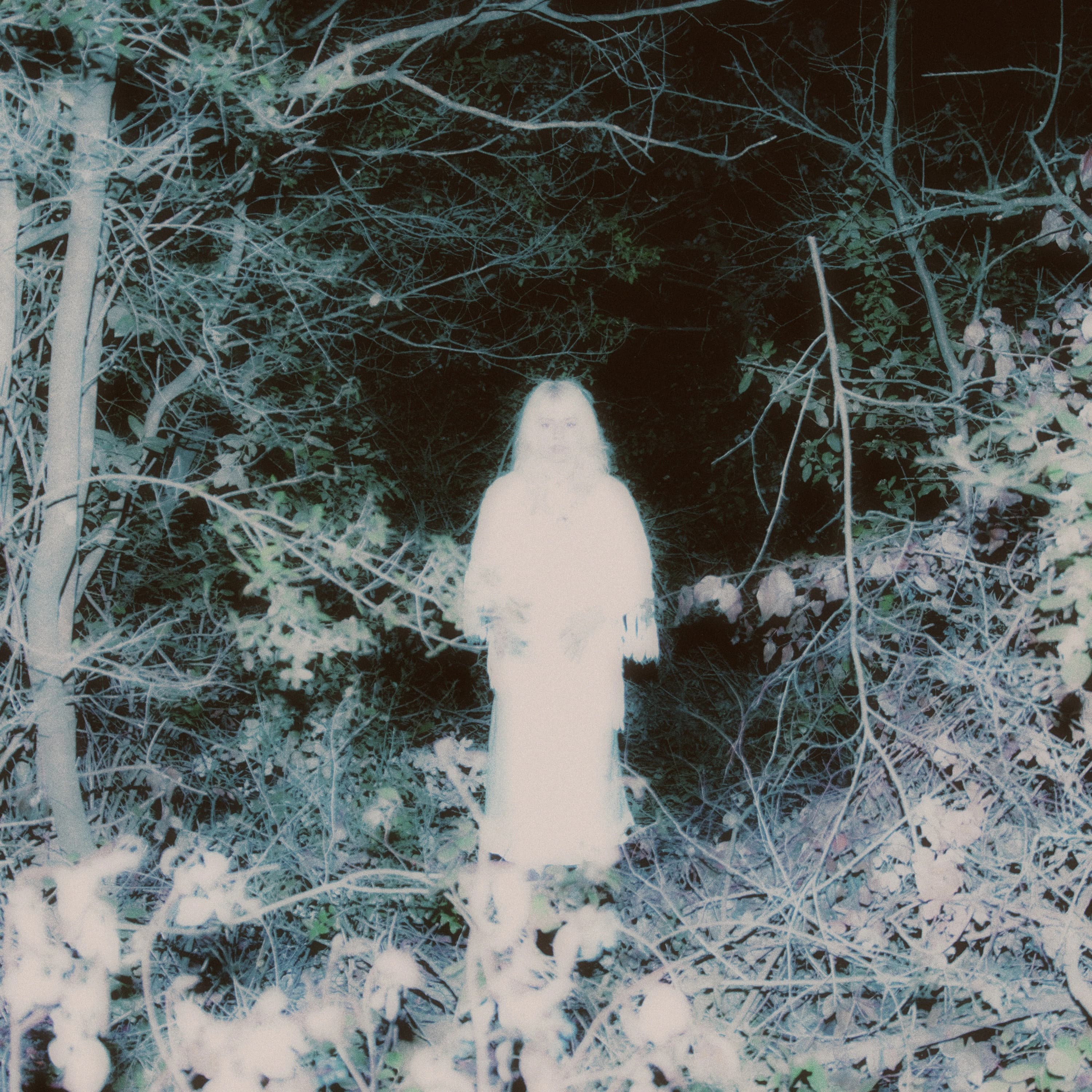 Pochette de the night