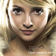 Pochette de Casse comme du verre