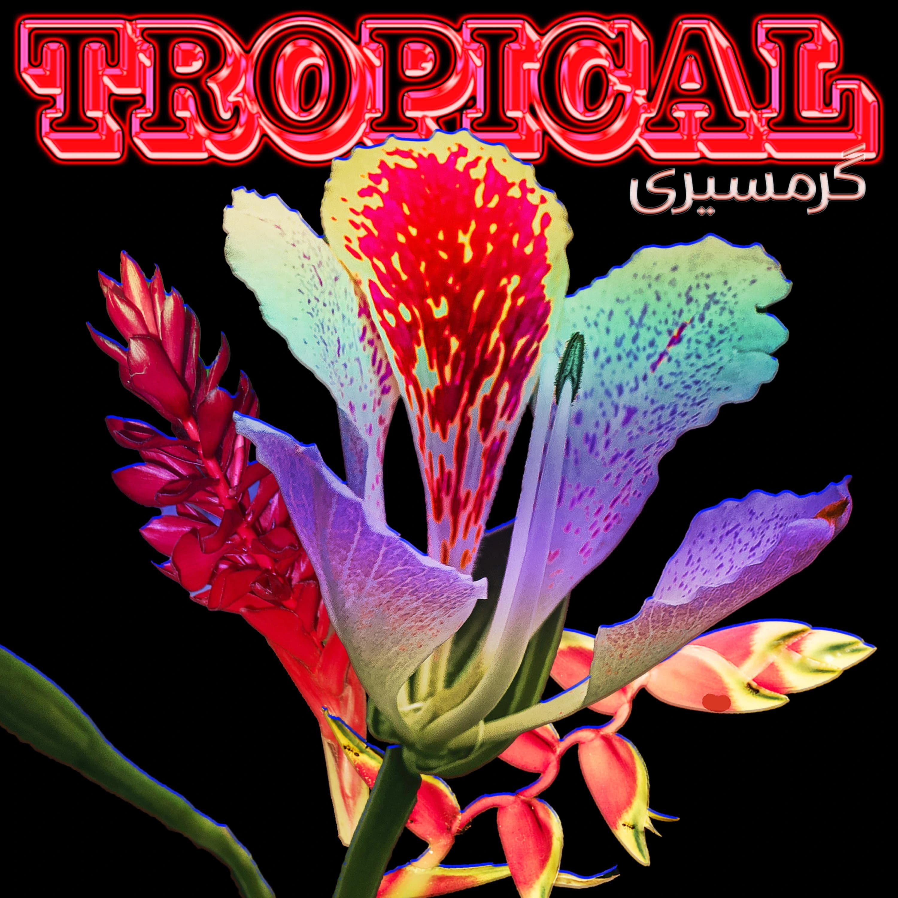 Pochette de Tropical