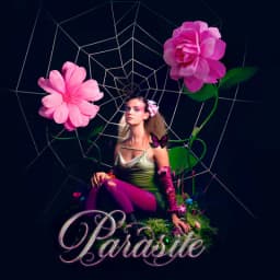 Pochette de Parasite