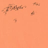 Pochette de fishbones