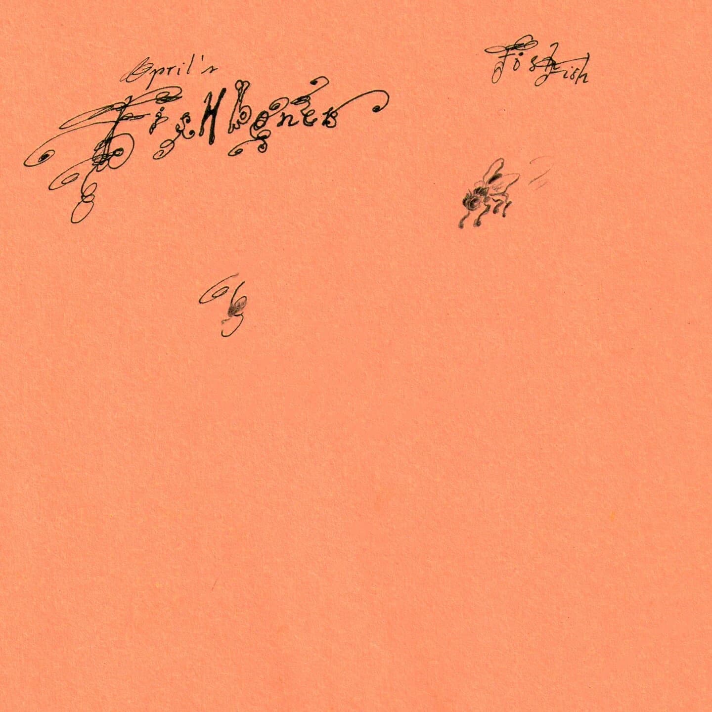 Pochette de fishbones