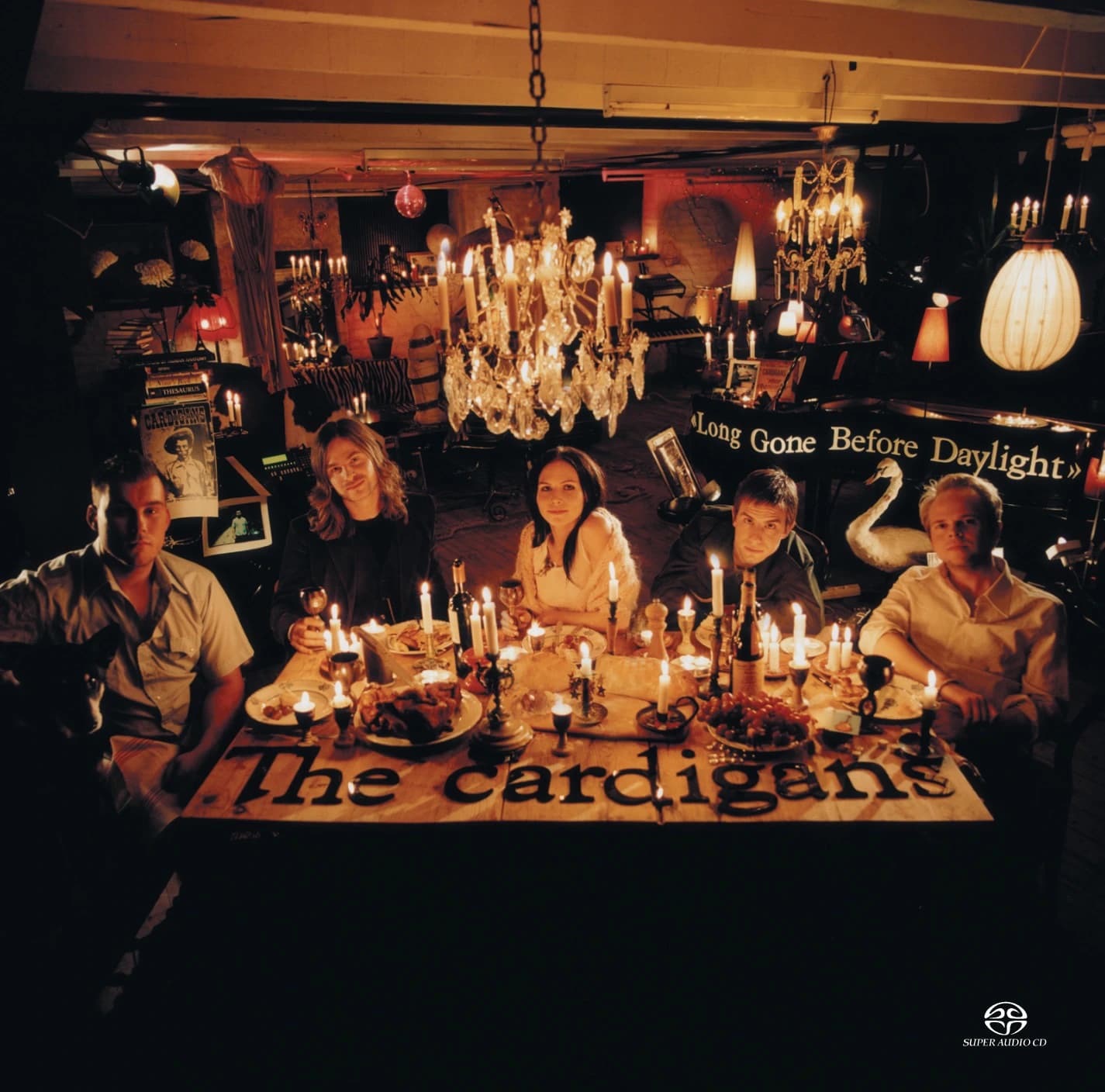 Pochette de Long Gone Before Daylight