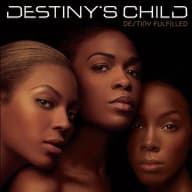 Pochette de Destiny Fulfilled