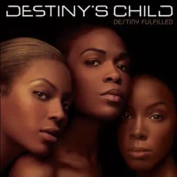 Pochette de Destiny Fulfilled