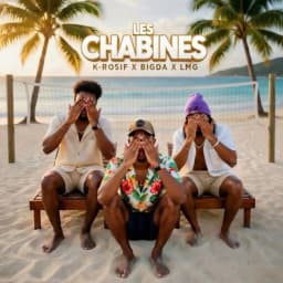 Pochette de Les Chabines