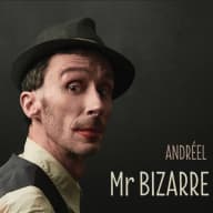 Pochette de Monsieur bizarre