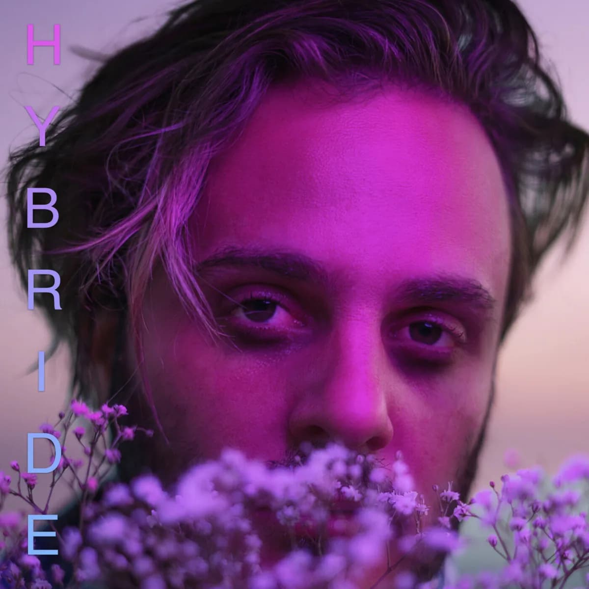 Pochette de Hybride