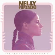 Pochette de The Spirit Indestructible (Deluxe Version)