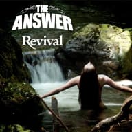 Pochette de Revival