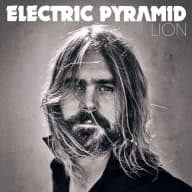 Pochette de LION