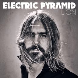 Pochette de LION
