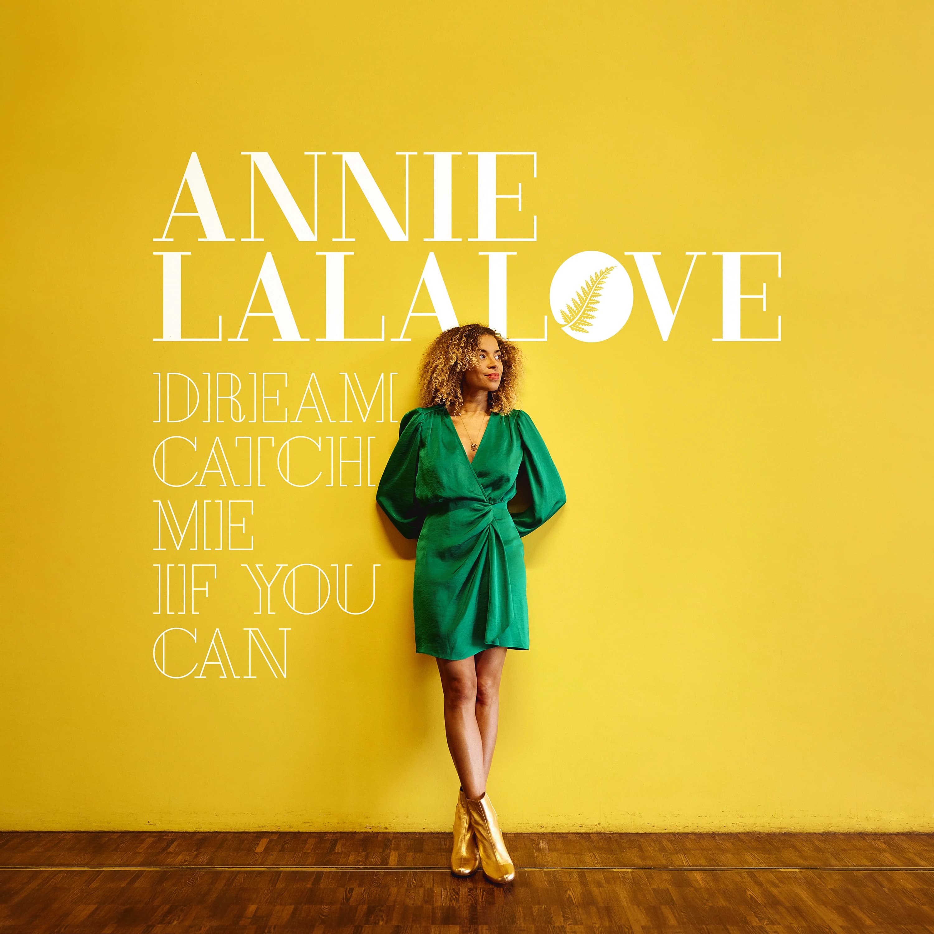 Pochette de Dream Catch Me if You Can