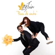 Pochette de Peau de vache