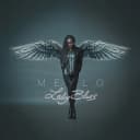 Pochette de Lady Blues