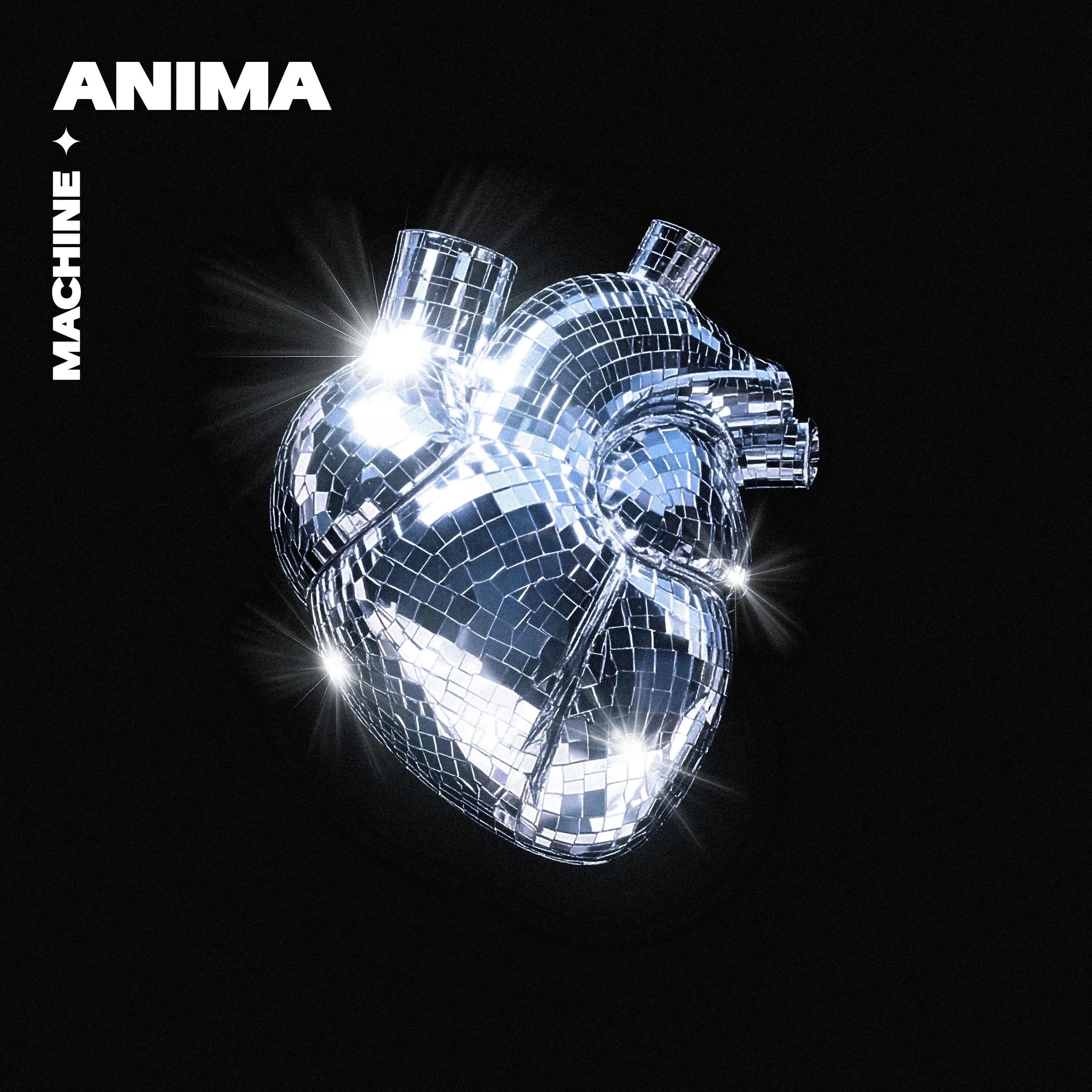 Pochette de Machine