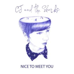 Pochette de Nice to Meet You