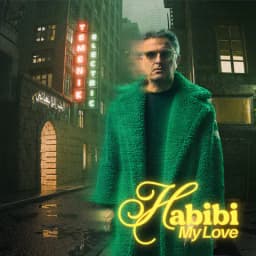 Pochette de Habibi My Love