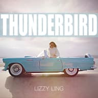 Pochette de THUNDERBIRD