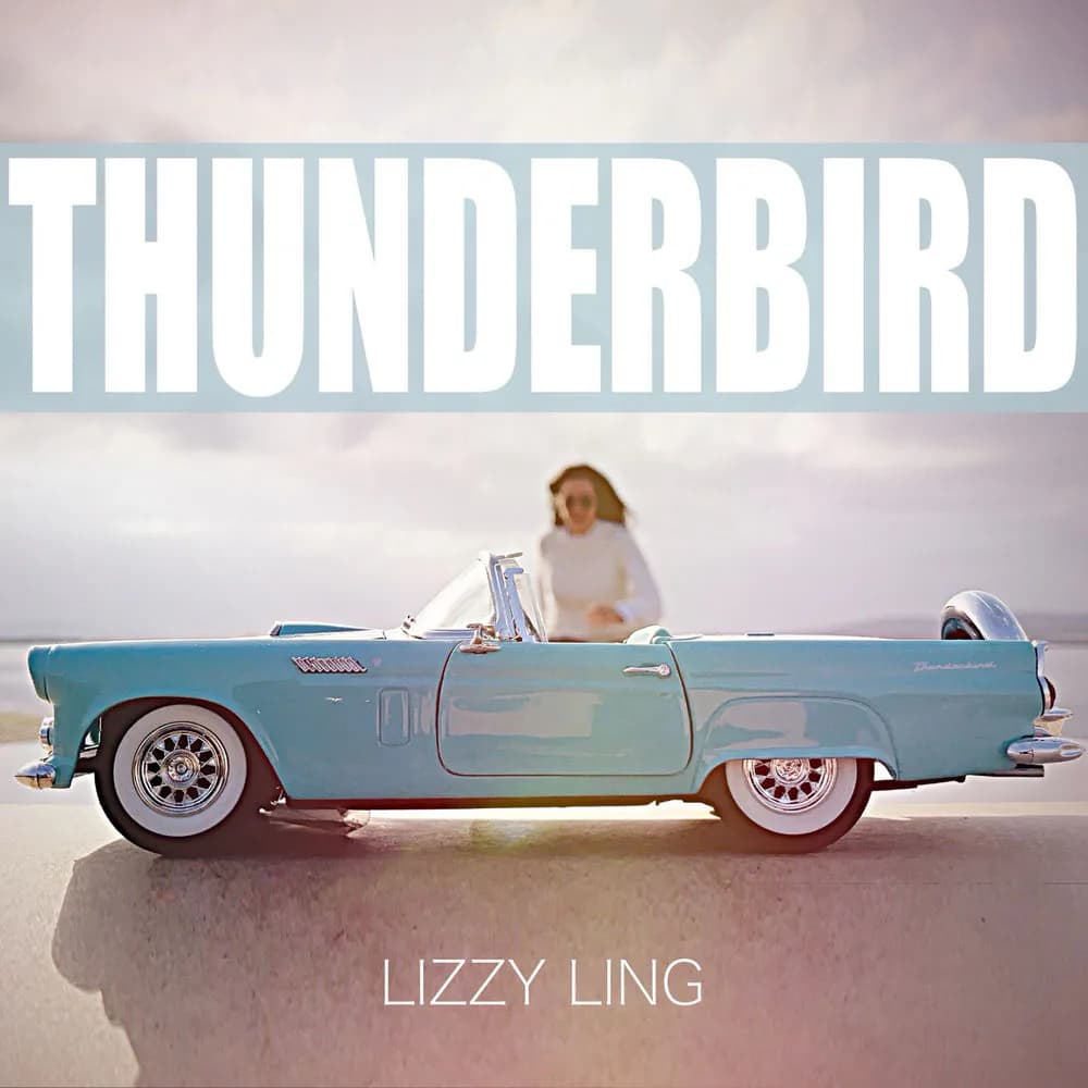 Pochette de THUNDERBIRD