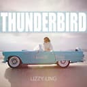 Pochette de THUNDERBIRD