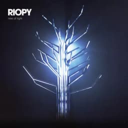 Pochette de Tree of Light