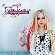 Pochette de The Best Damn Thing