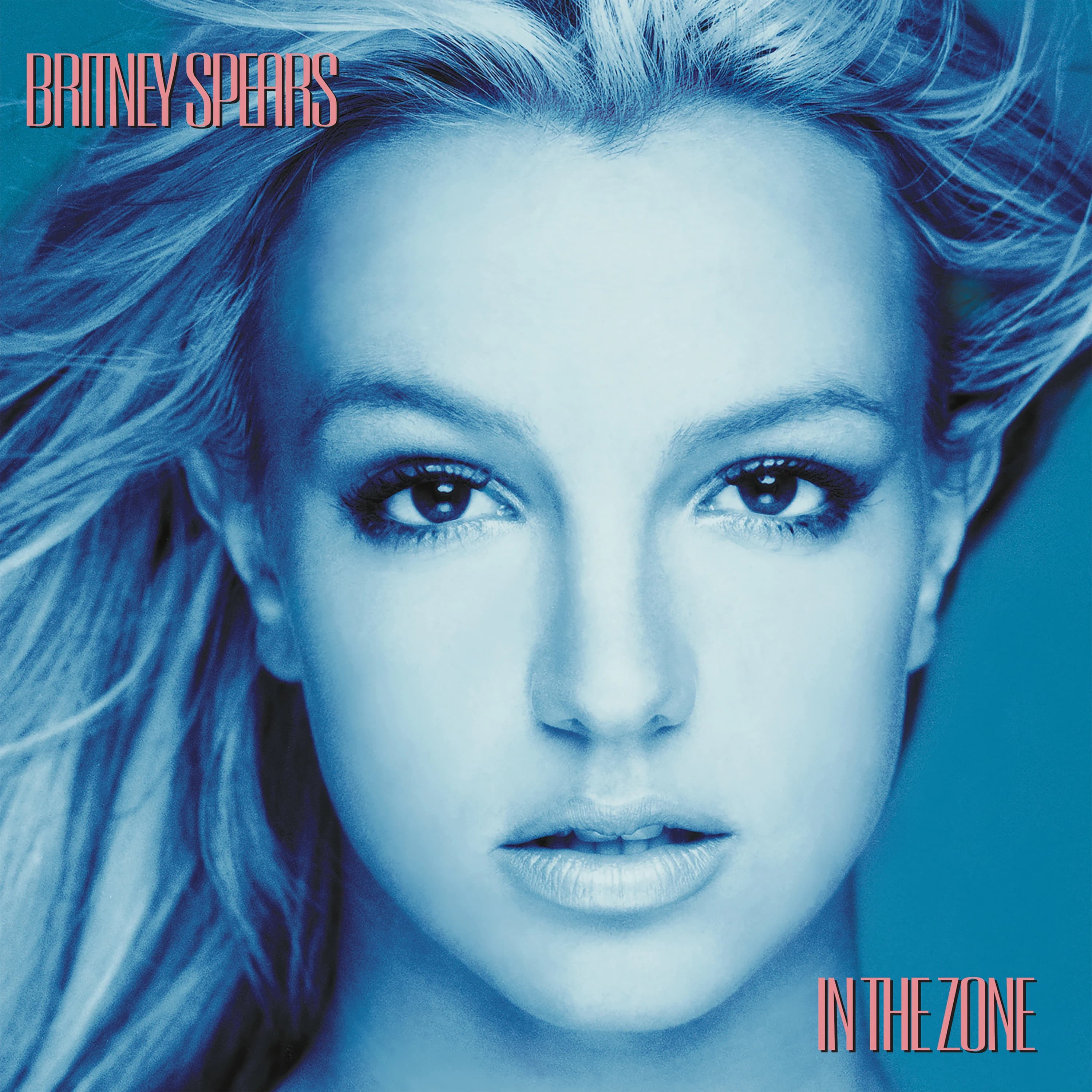 Pochette de In the Zone