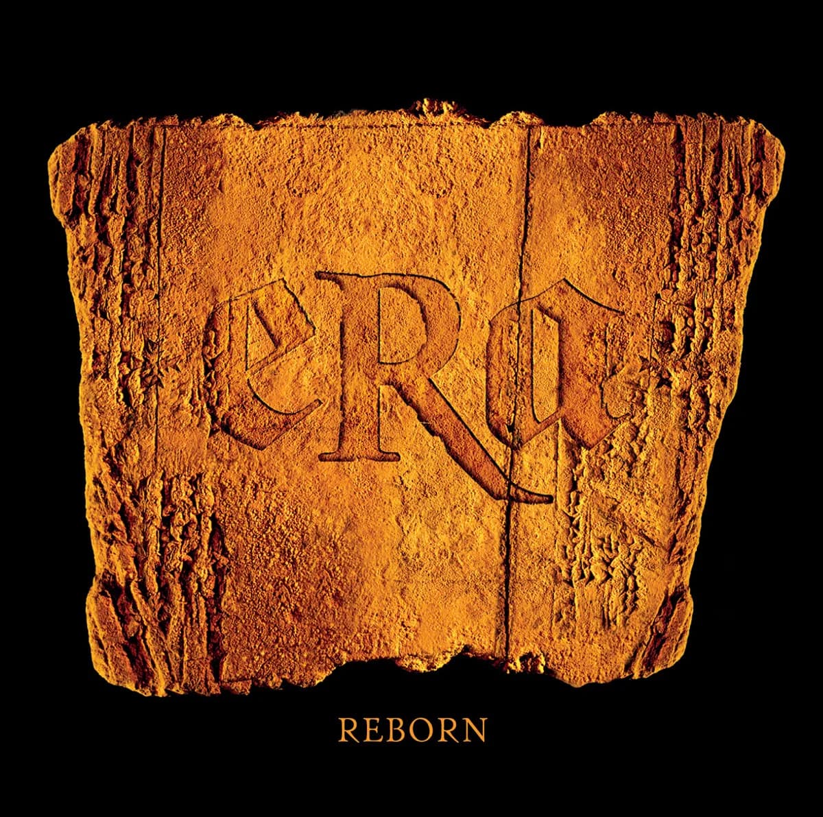 Pochette de Reborn