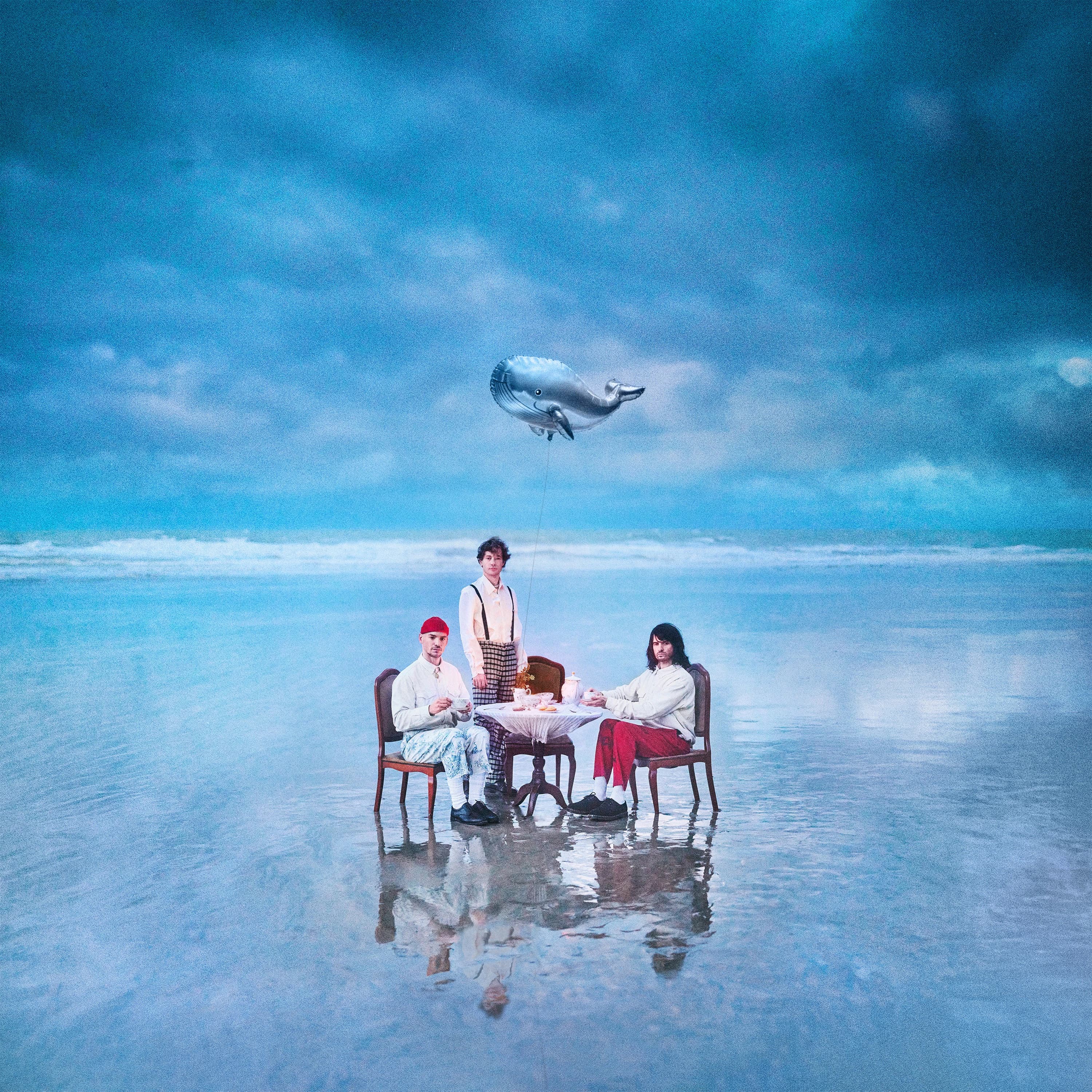 Pochette de Listen to the whale (a little more)