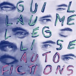 Pochette de Auto Fictions
