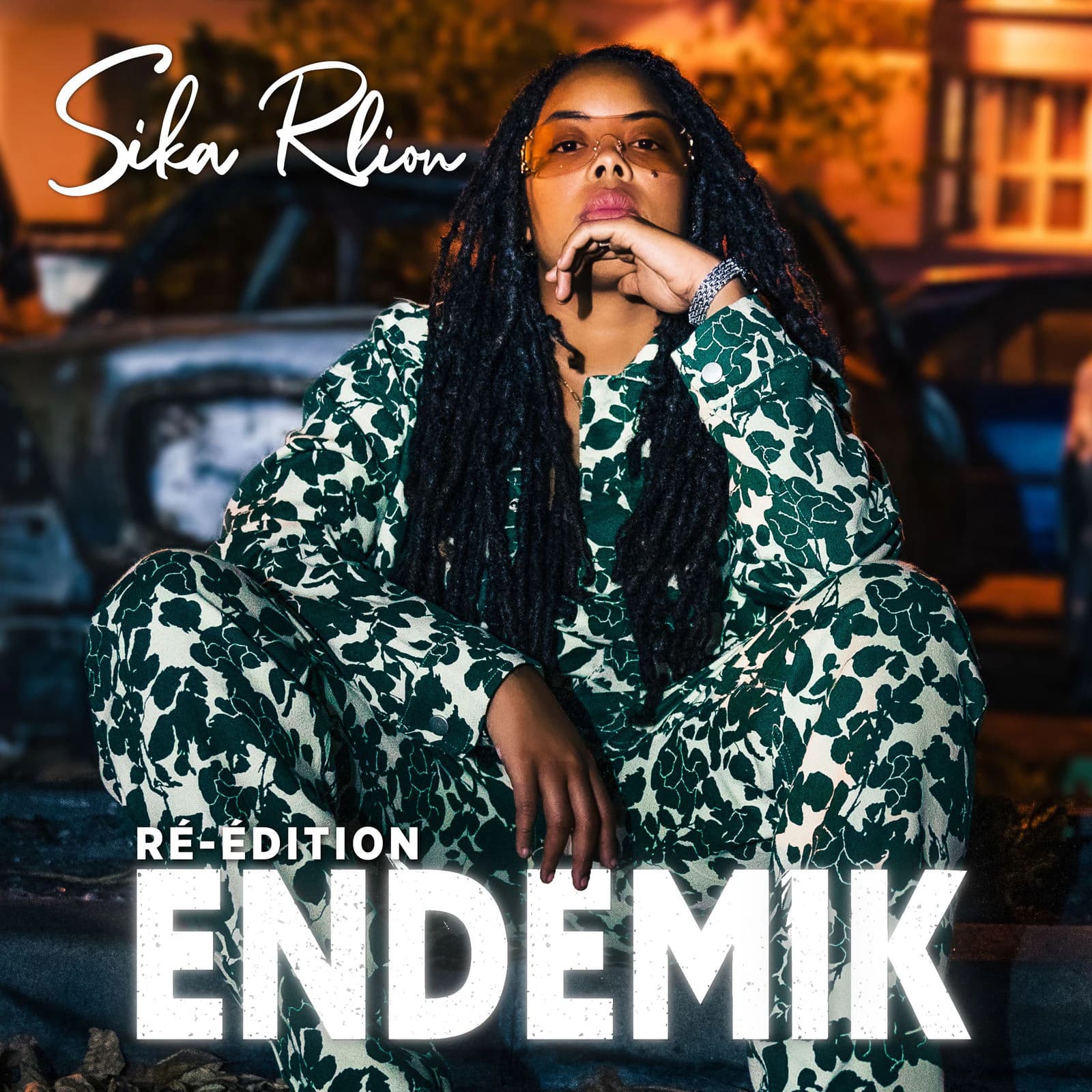 Pochette de Endemik Ré-édition