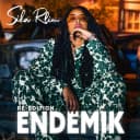 Pochette de Endemik Ré-édition