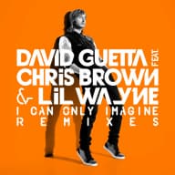 Pochette de I Can Only Imagine (feat.Chris Brown and Lil Wayne)