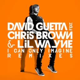 Pochette de I Can Only Imagine (feat.Chris Brown and Lil Wayne)