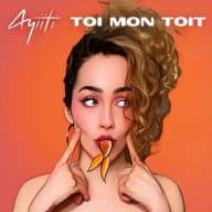 Pochette de Toi mon toit