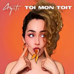 Pochette de Toi mon toit
