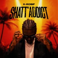Pochette de Shatt'Addict