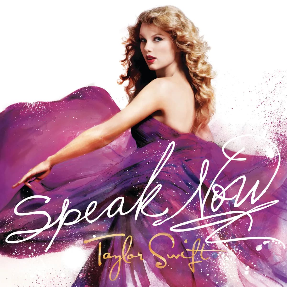 Pochette de Speak Now