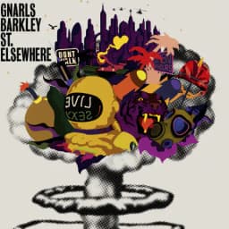 Pochette de St. Elsewhere