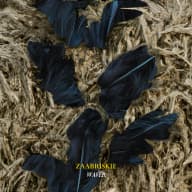 Pochette de Waver