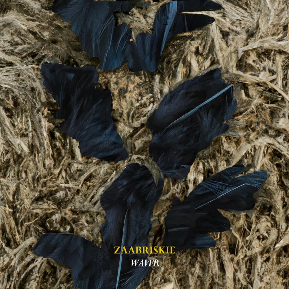 Pochette de Waver