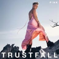 Pochette de TRUSTFALL