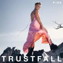 Pochette de TRUSTFALL