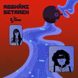 Pochette de Setareh