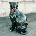 Pochette de La nuit est une panthère